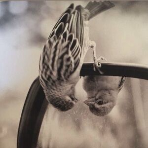 Meet your Posher, Rae